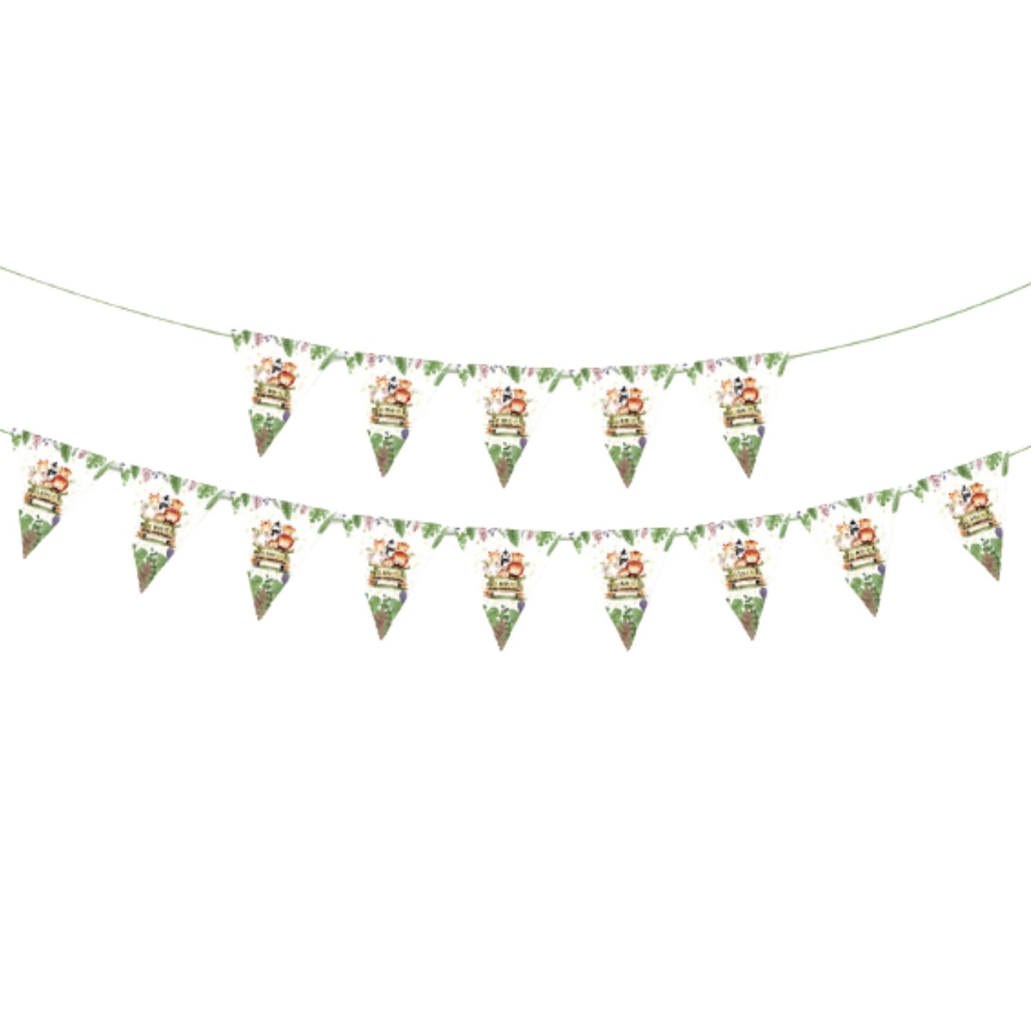 Kit de Cumpleaños Safari 57 Piezas | Decoración Completa para 10 Niños