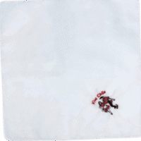 Pañuelo fiestas patrias, cueca