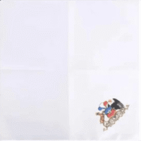 Pañuelo de Cueca Escudo Nacional