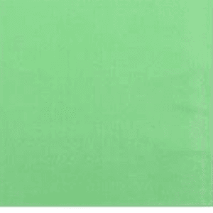 Servilletas papel verde  16 pcs