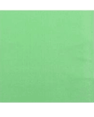 Servilletas papel verde  16 pcs