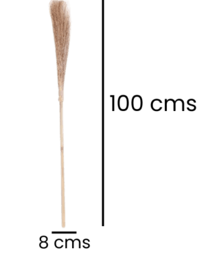 Escoba de Bruja