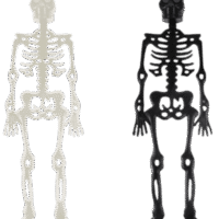 Esqueletos 25 x 6 cms, 2 piezas