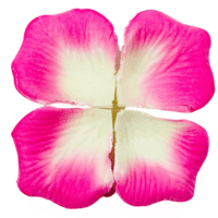 Pétalos de rosa rosado 5.3x5.7cm, 20 g