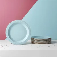 Platos de cartón, 6 piezas